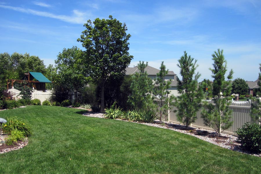 Back yard landscape design