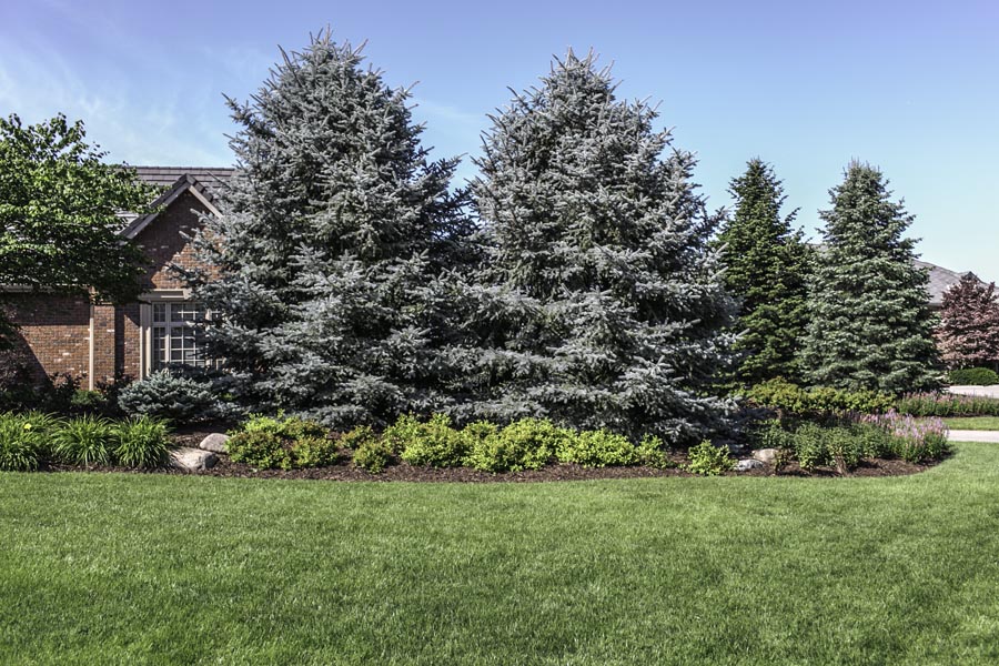 Outdoor Landscaping Solutions: Embracing Omaha’s Changing Seasons