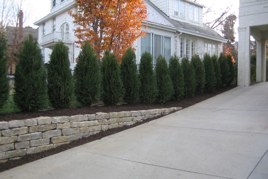 shrubs installed by Jay Moore Landscaping used as a landscape privacy screen