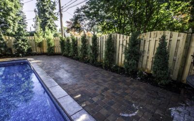 Why Consider Landscape Privacy Screens for Your Yard