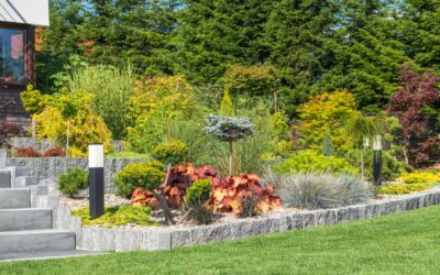 Expert Landscape Maintenance