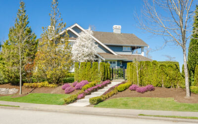 Omaha Landscape Design Help for a Smooth Outside Update