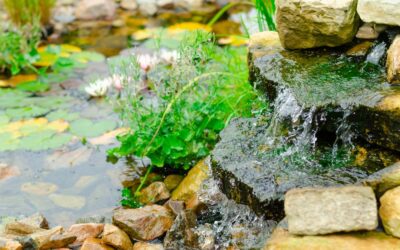Seven Ways to Blend Water Features Into Your Landscape