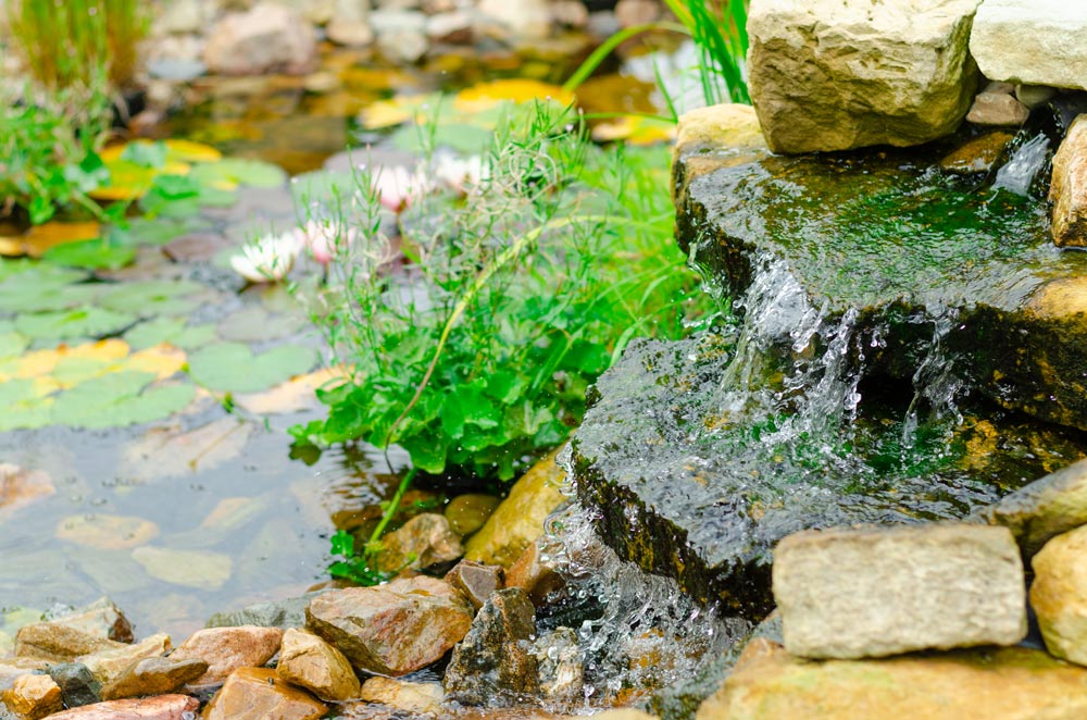 Seven Ways to Blend Water Features Into Your Landscape