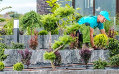 The Art of Balancing Form and Function in Landscape Design