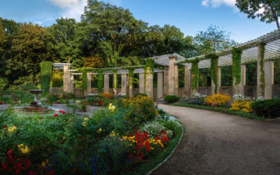 Top 5 Features for a Beautiful Landscape Design