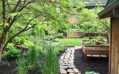 Why Curb Appeal Starts with Omaha Landscape Design