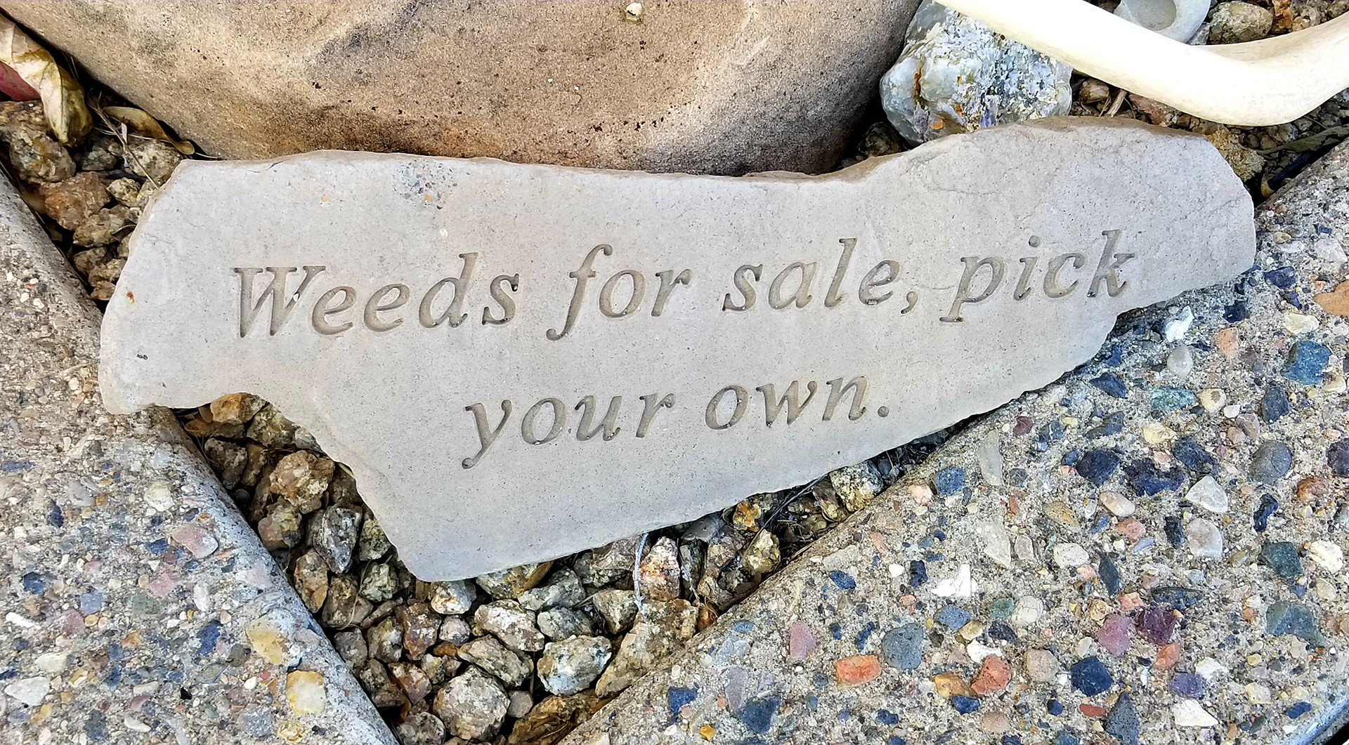 rock that has "weeds for sale, pick your own" engraved on it in landscaping